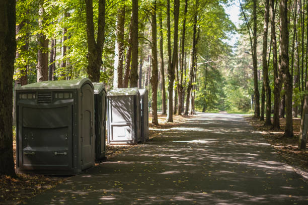 Best Sanitation services for porta potties  in Fortville, IN